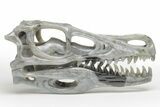 Carved Labradorite Dinosaur Skull - Roar! #218505-1